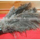 Factory Warehouse Ostrich Feather Magic Wooden Handle Duster thumbnail-3