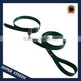 tpu dog collar and leash dog show leads