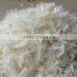 EN12934 Washed White Duck Feather