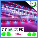 New Growing Led Modular Growth Led Lampe Led Vegetative Grow Light thumbnail-1