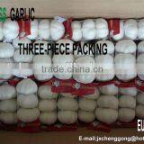 White Garlic Competive Price thumbnail-1