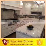 High Standard Client Request Kitchen Countertop Choices thumbnail-4