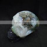 Hollowed Natural Hand Carving Amethyst Crystal Skull With Geode Good for Home Decoration or Gift to Friends thumbnail-3
