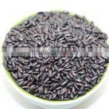 Chinese Organic Riso Nerone (Black Rice) thumbnail-2