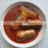 Good quality canned mackerel in tomato sauce for sale