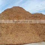 Vietnam wood chips for pulp and paper