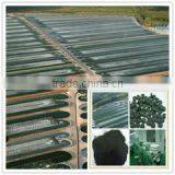 Qingdao Hilda-Jingyi Trading Co., Ltd. company overview - view 2 thumbnail