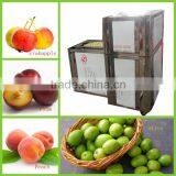 Industrial Fruit Corer Peach Corer thumbnail-3