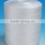 2014 China Best Vegetable PP Packing Rope