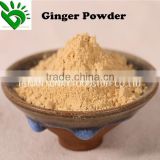 Good Quality Ginger Powder from Ginger Supplier