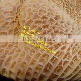 Cattle Stomach Cleaning Machine/sheep/pig/cow Tripe Washing Machine thumbnail-6