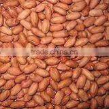 Peanuts Material thumbnail-1