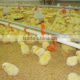 Broiler Chicken Floor Feeding System/feeder Pan System thumbnail-3