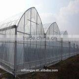 Economical Commercial Polycarbonate Sheet Greenhouse thumbnail-4