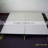 Wood Core Raised Access Panel Floor thumbnail-1