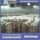 Good Quality New Technology Cold Storage Manufacturers
