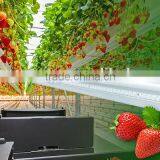 75W LED Grow Light Bar Greenhouse Horticulture Used thumbnail-1