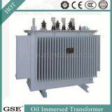 Power Transformer/Oil Immersed Power Distribution Transformer/800kVA Transformer thumbnail-3