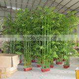SJ1301120 Outdoor Artificial Bamboo/lucky Bamboo Plants Sales/bamboo Plant Products thumbnail-3