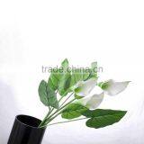 SJ300927 High Quality PU Common Callas Flowers for Indoor Deforative thumbnail-5