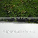 Man Made Thick Moss Carpet Moss Foam Products Flocking Wall thumbnail-3