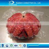 chinese sea wholesale health iqf frozen octopus whole round