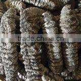 Fully Dried Mexicana thumbnail-2