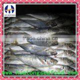 Seafood Mackerel Horse Mackerel thumbnail-1