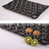 PP Kiwi Punnet Tray/15#/18#/23#
