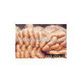 Raw Jute thumbnail-1