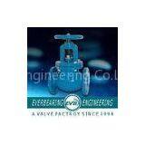 Globe Valve With Bevel Gear, 2