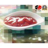 Zhengzhou Nilton Delicious Magical Tomato Paste Ketchup thumbnail-2