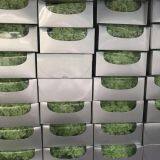 Grade A Small Leaf Preserved Hydrangea With More Than 40 Colors