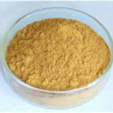 American Ginseng P.E Manufacturer