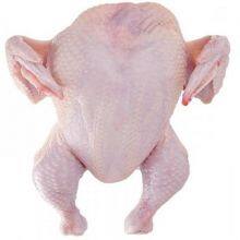 Premium Grade Fresh Frozen Chicken In A Best Rate thumbnail-4