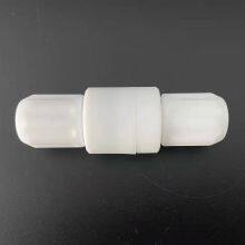 PTFE Check Valve 1/4