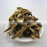 Dried Boletus Edulis Sliced Porcini Mushroom Farm Investors thumbnail-2