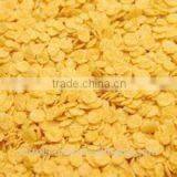 Automatic High Efficiency Breakfast Cereal Corn Flake Line Equipment Quality Choice thumbnail-2