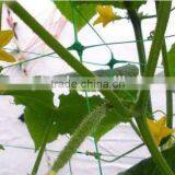 Tomato Supporting Netting / Plastic Plant Climbing Net thumbnail-5