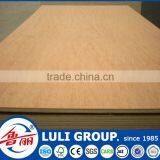 Good 19mm Plywood Prices thumbnail-3
