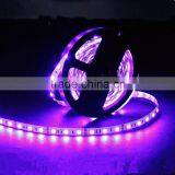 Dmx Led Strip 5050 Led Strip thumbnail-6