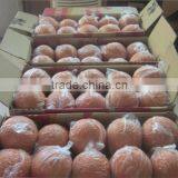 4 Inch Clean Out Ball for Washing Out Pump Pipe thumbnail-6