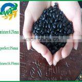 Chinese Black Kidney Beans thumbnail-3