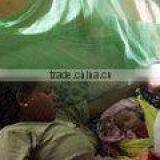 After the Treatment of the Mosquito Mosquito Net Potion thumbnail-1