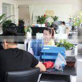 Shenzhen Royalplay Technology Co., Ltd. company overview - view 2 thumbnail