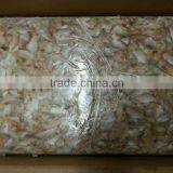 Frozen Leather Jacket Fish thumbnail-3