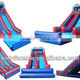 Large Inflatable Water Slide With Pool Bumper Dolphin