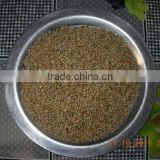 GREEN BAJRA/ MILLETS FOR HUMAN CONSUMPTION