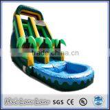 2015 Hot Sale Bulk Plastic Balls Giant Inflatable Water Slide for Sale for Children thumbnail-1