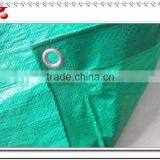 Best Quality Waterproof Tarpaulin 3x3m